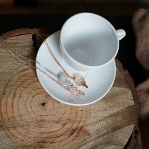 🌻4/$20🌻 Hot air balloon necklace in gold